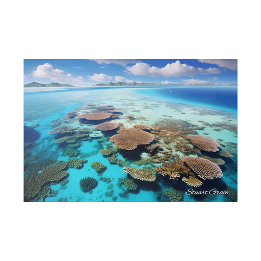 Ocean's Palette | Great Barrier Reef, Australia